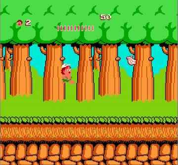  Hudson's Adventure Island (U) [!].nes